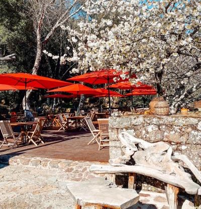 Auberge De La Foret Bonifatu