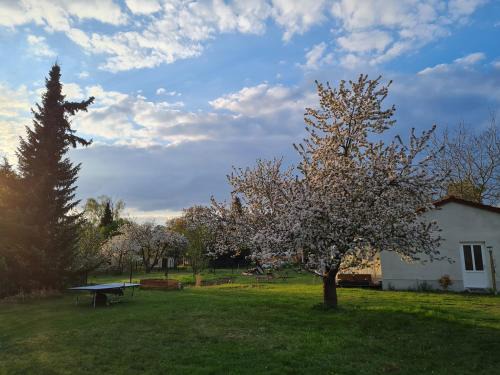 Auszeit in Märkische Schweiz