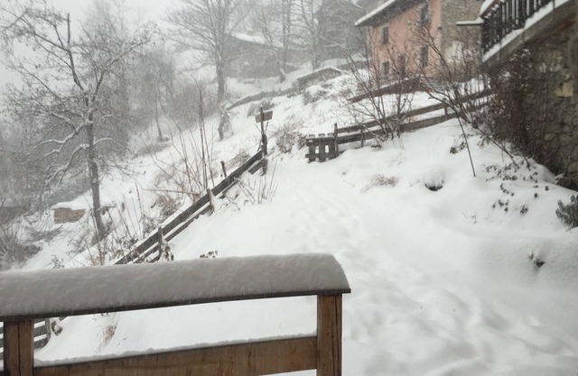 Authentic Savoyard chalet/farmhouse, spacious, ¼ hour drive from the slopes.