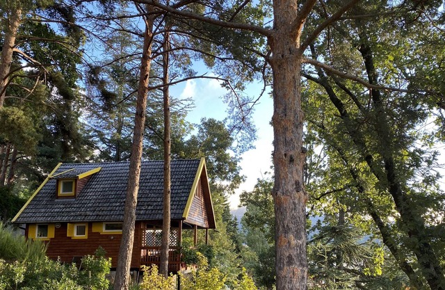 Authentic fully refurbished mountain cabin with views