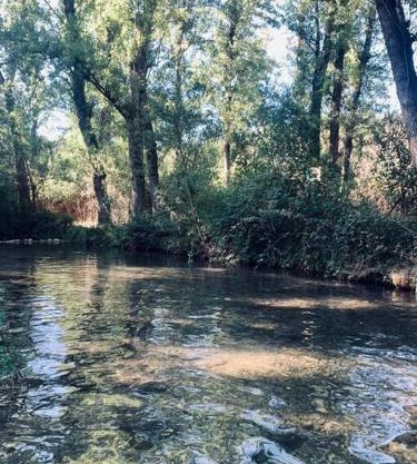 Azahares Apartamento turístico