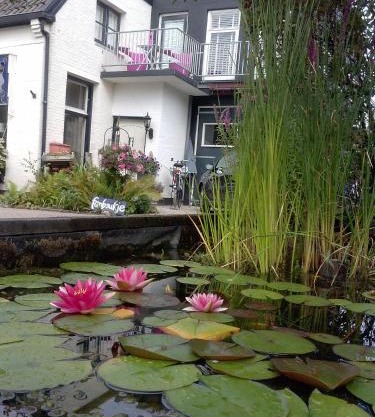 B&B ByBoukje