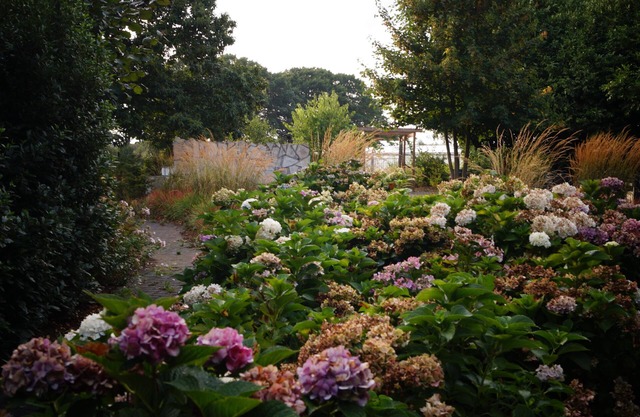 B&B Johannes-Hoeve