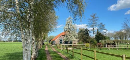 B&B Vinkeling