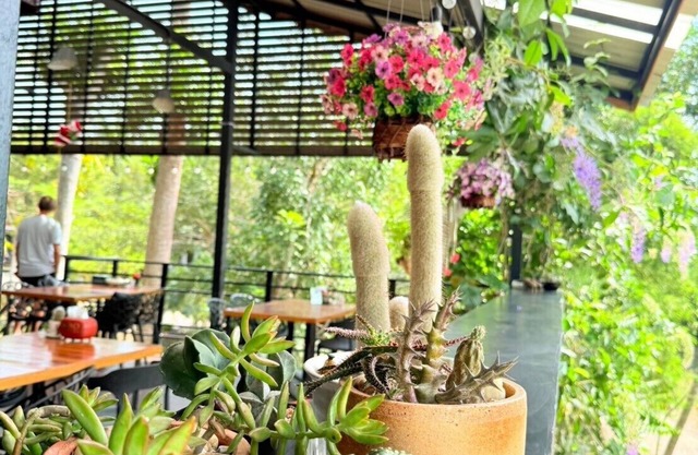 Baan Suan Hill Resort