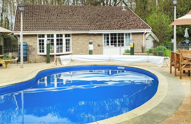 Bank Voles Nest - UK45199