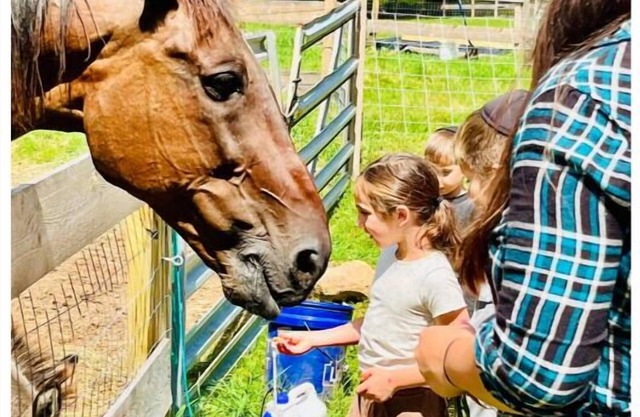 Barn Suite: A Cozy Farm Escape