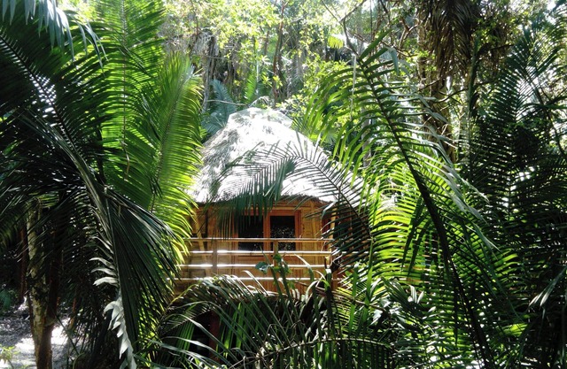 Basil Cabin 2. Romantic Ecolodge in the jungle by the sea