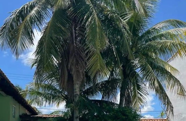 Beach bed and breakfast