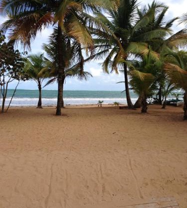 Beach Front Apartment Rio Mar Puerto Rico