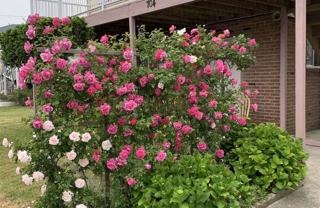 Beach Happy at Elis Apartment 5