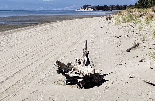 Beach Retreat.