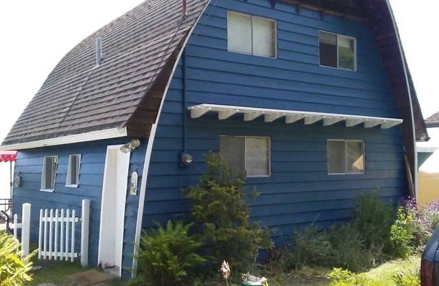 Beachfront cabin, no bank waterfront close to Langley-eagles & whales
