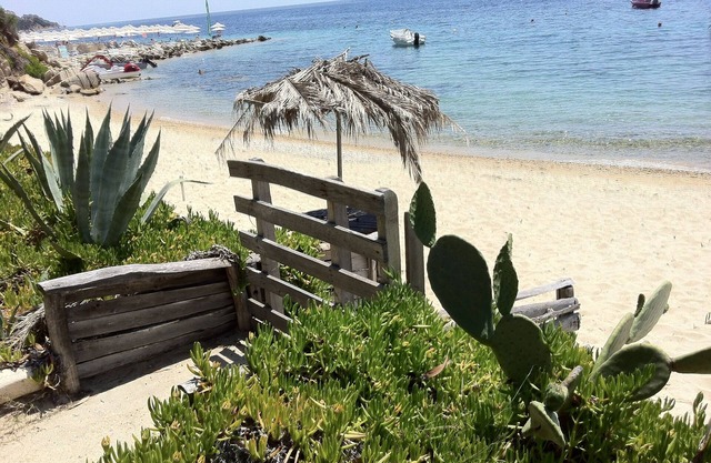 Beachfront family house