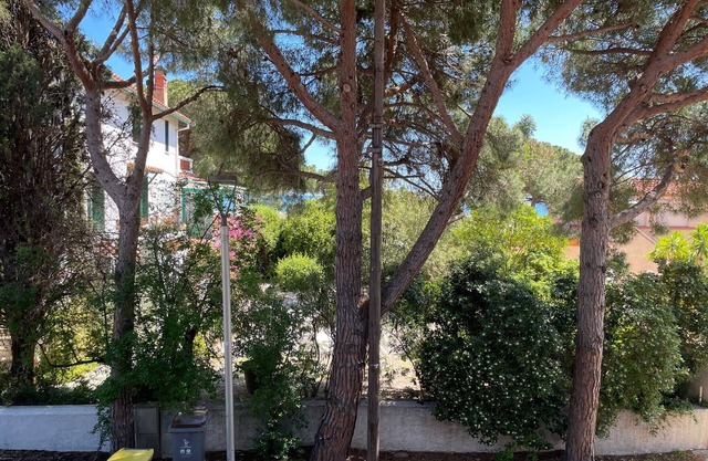 Beachside Getaway: Cozy 2-Room Apartment with Wi-Fi, A/C, Close to Shops & Attractions
