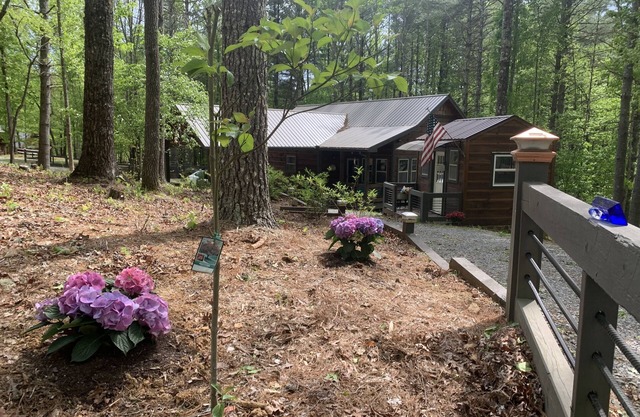 Beat the summer heat at WOODSIDE COTTAGE in the Blue Ridge Mtns of N.GA.