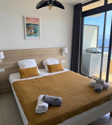 Beau Studio vue sur mer, route des sanguinaires