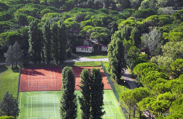 Beautiful apartment in villa for 6 guests with pool, WIFI, terrace and pets allowed