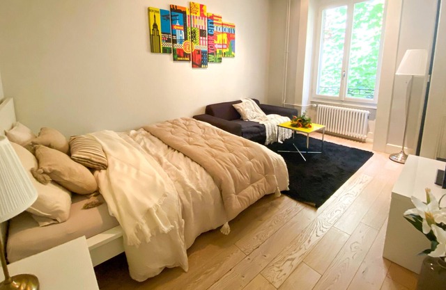 Beautiful apartment in Plainpalais, Geneva