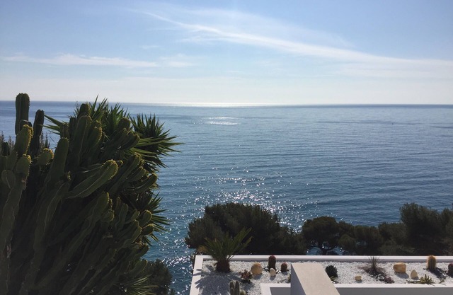 Beautiful mansion on the footsteps of Monaco Monte Carlo