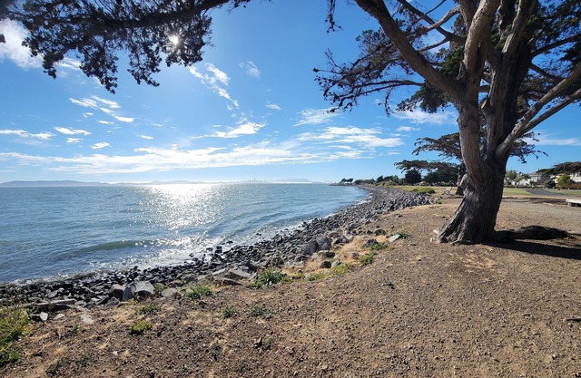 Beautiful house/Short drive to the beach/Parking/Amazing Alameda