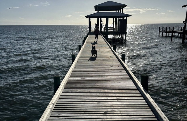 Beautiful, impeccably clean bayfront home with private dock.