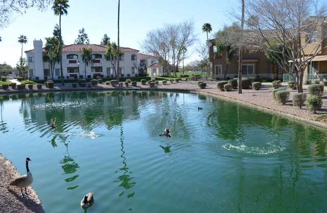 BEAUTIFUL LAKE FRONT CONDO VIEW - Mesa, AZ - 3 Bedrooms - 2 Baths - (Sleeps 6)