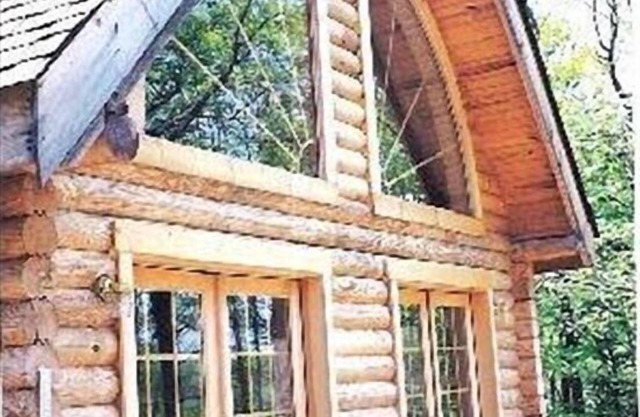 Beautiful Log Chalet, Hot Tub, Gas Grill, Secluded on 6 wooded acres. Privacy