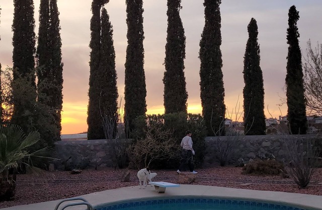 Beautiful One Story Family Home West of El Paso With Pool