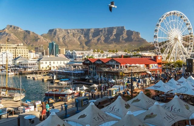 Beautiful Rondebosch East Home - Gay Friendly