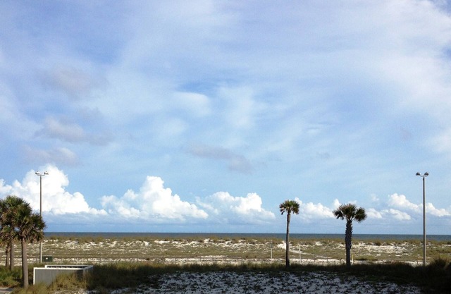 Beautiful Waterfront Townhome San Deluna #3