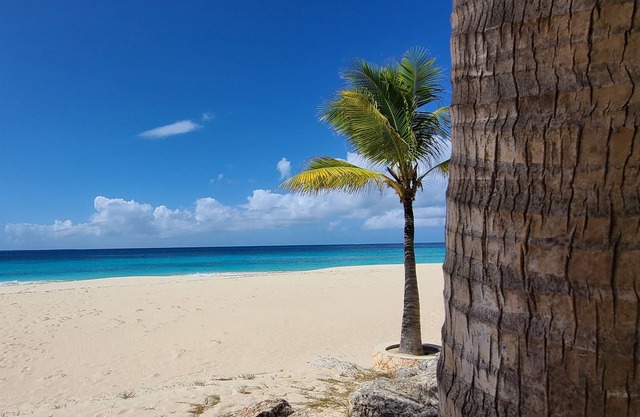 Beautiful West End condo directly on Long Bay Beach