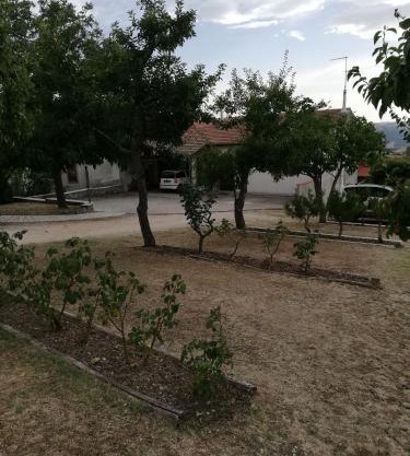 Bed and Breakfast "POGGIO MARANO"
