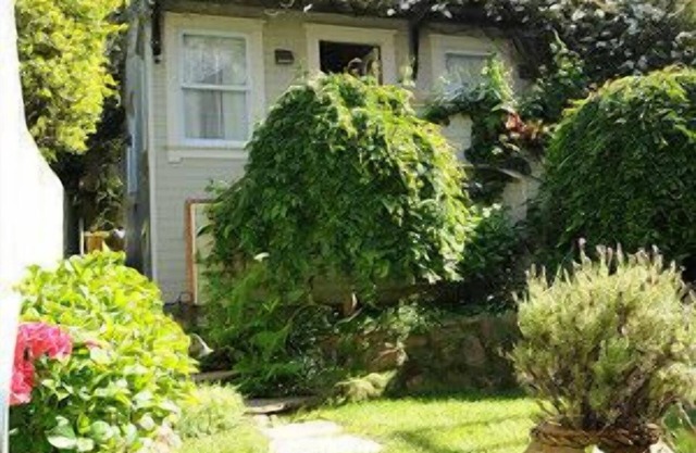 Best Central San Francisco Hidden Gem Luxury Cottage, Superb Location/Amenities