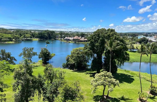 Best View in Hilo - Pool, WIFI, 2 BD Condo