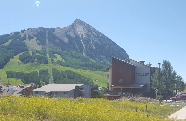 Best view of the mountain - Top Floor Mt. CB Condo - 2B/1BA