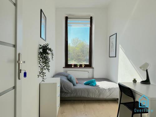 Beta Room