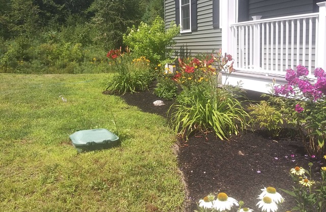 Better To Wake Near The Lake