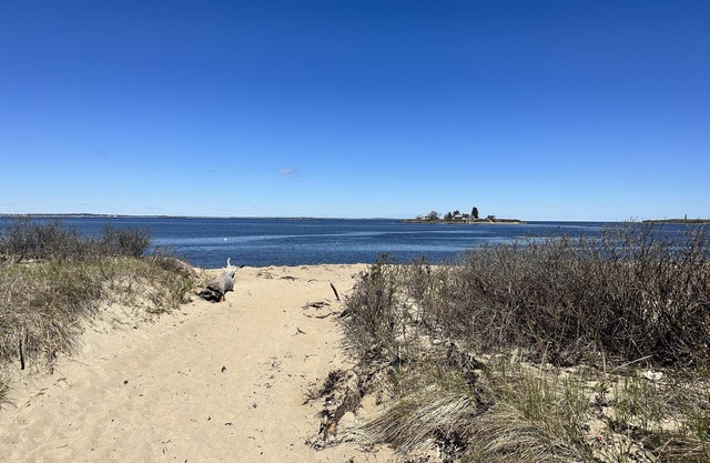 Biddeford Pool Condo steps from beach, 1 BR/1 Bath