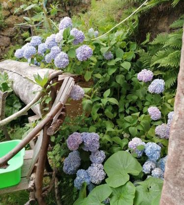 Bienvenue chez jacquou Chambre d'hote cher l'habitant