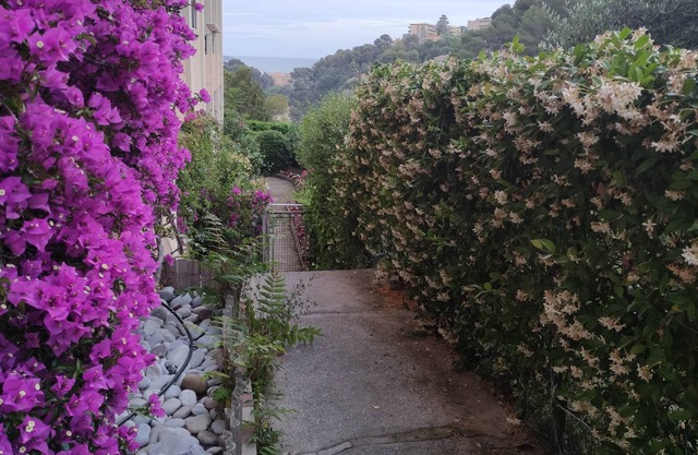 Big appartement of 4 rooms in Nice