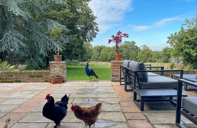 Big farmhouse gives guests proper coast and country living..