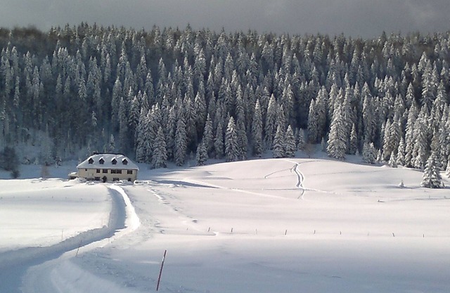 Big house till 40 people