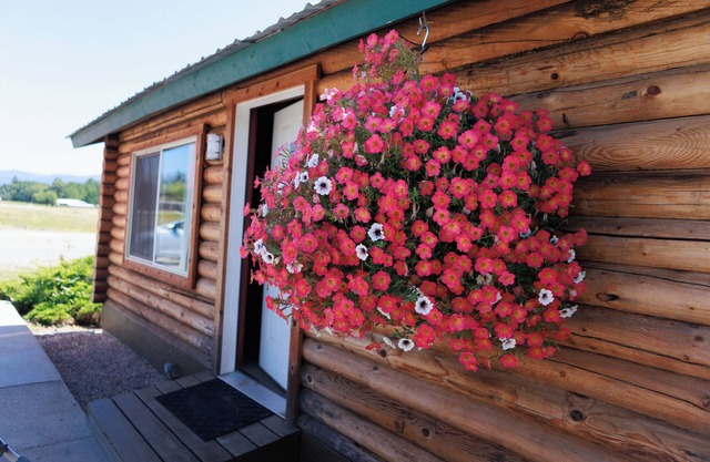 Big Medicine Cabins