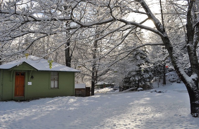 Birch Cottage - Perfect for a short or long stay!