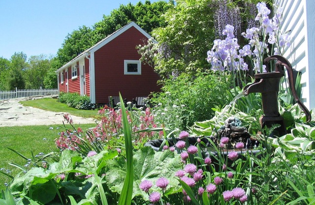Bittersweet Bed and Breakfast