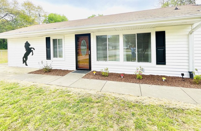 Black Beauty - King Bed - Dog Friendly