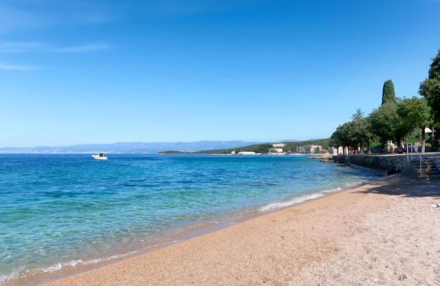 Blekic (MLK305) by Interhome