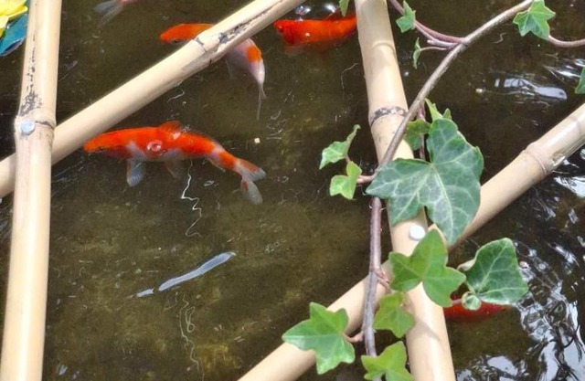 Blue Villa by the Sea