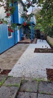 Blueberry road